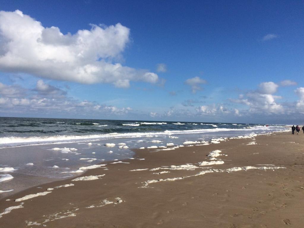 אגמונד אן זי Beachvibes מראה חיצוני תמונה